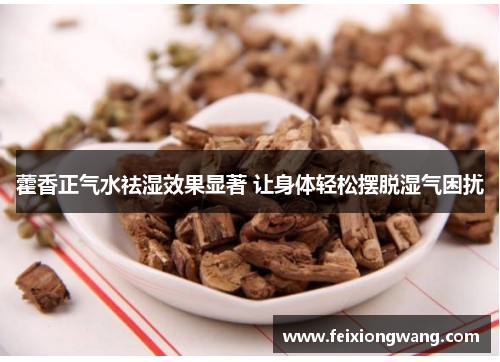 藿香正气水祛湿效果显著 让身体轻松摆脱湿气困扰