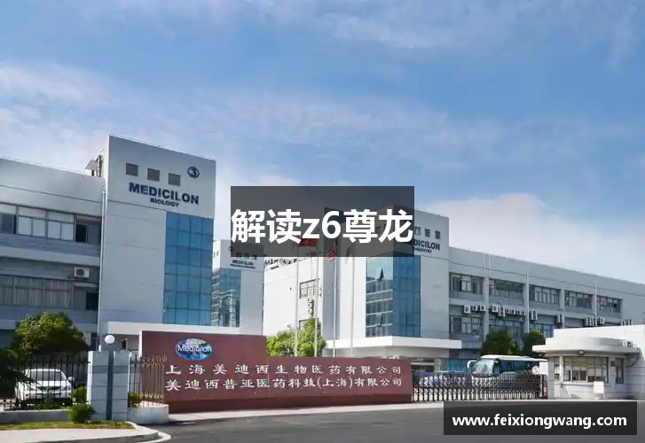 解读z6尊龙